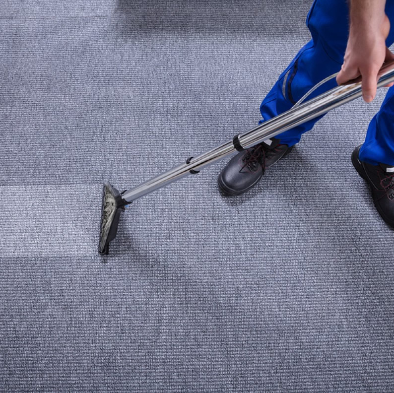 limpieza profesional alfombras